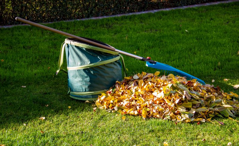 Leaf Disposal Solutions